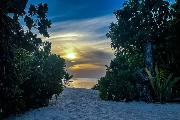 Sunset view from Lyla Beach Villa, tropical beach with lush greenery, golden sands, and ocean waves, perfect for luxury beachfront accommodation and serene tropical getaways.